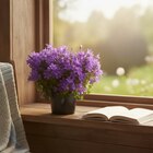 Plantes fleuries en promo chez Carrefour Gonesse à 2,99 €