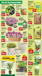 Lidl Rasendünger Angebot ᐅ Finde den Preis im aktuellen Prospekt