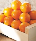 Intermarché Bollène - Promo Clémentine Promo Clémentine à 1,69 € dans le catalogue Intermarché à Bollène
