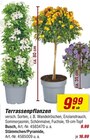 Angebot im toom Baumarkt Hagen (Stadt der FernUniversitĂ€t) Prospekt toom Baumarkt Hagen (Stadt der FernUniversitĂ€t) Prospekt mit im Angebot fĂŒr 9,99 âŹ