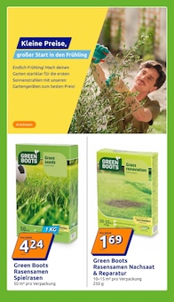 Pflanzen im Action Prospekt "Wochenangebote" mit 33 Seiten (Wiesbaden)