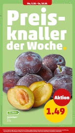 Braten im Penny Prospekt in Arnsberg Aktueller Penny Prospekt mit Braten, "Wer günstig will, muss Penny.", Seite 6