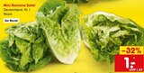 Aktuelles Mini Romana Salat Angebot bei Netto Marken-Discount in Duisburg ab 1,00 €