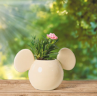 Blumentopf 3D "Micky Maus" von Disney im aktuellen Netto mit dem Scottie Prospekt