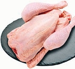Frische Hähnchen bei Markant Nordwest im Westerstede Prospekt für 4,99 €