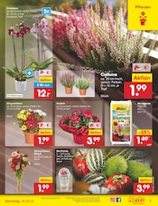 Aktueller Netto Marken-Discount Prospekt mit Baustoffe, "Aktuelle Angebote", Seite 9