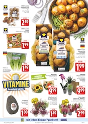 Aktueller EDEKA Prospekt mit Blumen, "Wir lieben Lebensmittel!", Seite 11