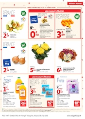 Promos Chrysanthèmes dans le catalogue "25 JOURS AUCHAN" de Auchan Hypermarché Chrysanthèmes en promo dans le catalogue Auchan Hypermarché à la page 19