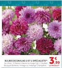 Promo Bulbes de dahlias à 3,99 € dans le catalogue Super U à Écouen