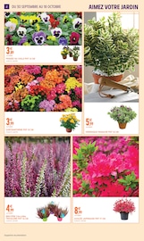 Promos Fleurs d'extérieur dans le catalogue "Intermarché" de Intermarché Super à la page 2 Promos Fleurs d'extérieur dans le catalogue "Intermarché" de Intermarché Super à la page 2