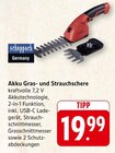 Akku Gras- und Strauchschere Angebote von Scheppach bei E center Lahr für 19,99 €