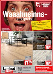 Aktueller LaminatDEPOT Prospekt mit Laminat, "15 JAHRE LAMINATDEPOT", Seite 1