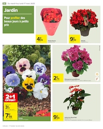 Offre Plante D'intérieur dans le catalogue Carrefour du moment à la page 54