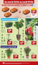 Orchidée Angebote im Prospekt "ARRIVAGES ORIENTAUX À PRIX DISCOUNT" von Aldi auf Seite 6