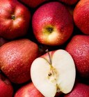 Promo Pomme Royal Gala à 2,39 € dans le catalogue Botanic à La Queue-en-Brie