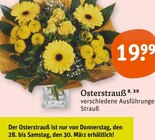 Aktuelles Osterstrauß Angebot bei tegut in Mannheim ab 19,99 €