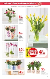 Offre Bouquet De Fleurs dans le catalogue Super U du moment à la page 31