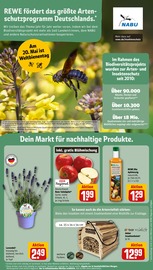 Lavendel im REWE Prospekt in Braunschweig Aktueller REWE Prospekt mit Lavendel, "Dein Markt", Seite 17