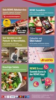 Aktueller REWE Prospekt "Dein Markt" für Schkeuditz Aktueller REWE Prospekt für Schkeuditz mit Seiten