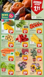 Ähnliche Sommerflieder Angebote im Prospekt "Dein Markt" von REWE in Mainz Ähnliche Angebote wie Sommerflieder im Prospekt "Dein Markt" auf Seite 7 von REWE in Mainz