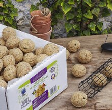 100 BOULES DE GRAISSE POUR OISEAUX DU JARDIN à Truffaut dans Fontenay-en-Parisis 100 BOULES DE GRAISSE POUR OISEAUX DU JARDIN à Truffaut dans Fontenay-en-Parisis