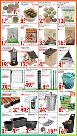 Schubkarre im Wreesmann Prospekt in Aurich Aktueller Wreesmann Prospekt mit Schubkarre, "DEIN SAISON- & SONDERPOSTENMARKT!", Seite 12