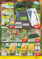 Aktueller Netto Marken-Discount Prospekt mit Teppichboden, "Aktuelle Angebote", Seite 37