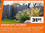 Betonzaun-Platte Casa Borsika im Angebot bei OBI in Baden-Baden Betonzaun-Platte Casa Borsika Angebote bei OBI Baden-Baden für 31,99 €