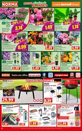 Barbecue Angebote im Prospekt "Votre Discounter Régional" von Norma auf Seite 4