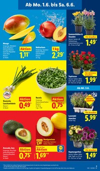 Avocado Angebot im Lidl Prospekt, gültig von 01.06.2026 bis 06.06.2026 Avocado Angebot im aktuellen Lidl Prospekt auf Seite 13