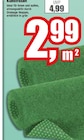 Kunstrasen Angebote bei Witthus Heimtex-Fachmarkt GmbH Bremen für 2,99 €