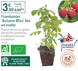 Framboisier 'Autumn Bliss' bio en motte à 3,99 € dans le catalogue Botanic