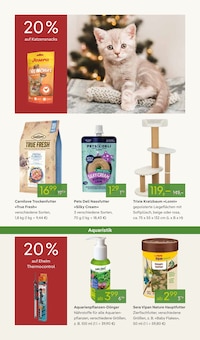 Kratzbaum im aktuellen Pflanzen Kölle Prospekt (Berlin) Kratzbaum im Pflanzen Kölle Prospekt "ADVENTS GLANZ" mit 18 Seiten (Berlin)