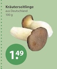 Kräuterseitlinge von  im aktuellen V-Markt Prospekt für 1,49 €