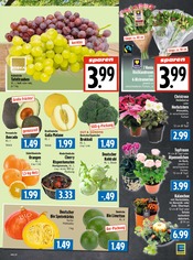 Aktueller EDEKA Prospekt mit Blumen, "Aktuelle Angebote", Seite 5