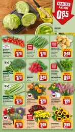 Pflanzen Angebot & Preis im aktuellen REWE Prospekt Pflanzen Angebot im aktuellen REWE Prospekt auf Seite 7