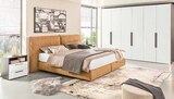 Aktuelle Boxspringbett Angebote bei Segmüller in Frankfurt (Main) Aktuelles Boxspringbett Arino Angebot bei Segmüller in Frankfurt (Main) ab 1.199,00 €