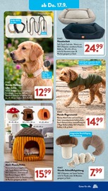 Hundezubehör im ALDI SÜD Prospekt in Stuttgart Aktueller ALDI SÜD Prospekt mit Hundezubehör, "Gutes für Alle.", Seite 18