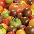 Bio-Tomaten Angebote bei toom Baumarkt Warendorf für 3,99 €