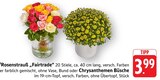 E center Worms - Rosenstrauß „Fairtrade“ Angebot im Prospekt Rosenstrauß „Fairtrade“ bei E center im Worms Prospekt für 3,99 €
