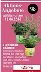 Cocktail-Kräuter im Angebot bei Dehner Garten-Center in Bottrop Cocktail-Kräuter Angebote bei Dehner Garten-Center Bottrop für 2,99 €