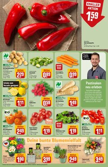 Tomaten im REWE Prospekt "Dein Markt" mit 36 Seiten (Offenbach (Main))