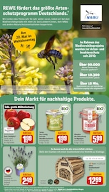 Gartendeko im REWE Prospekt in Buxtehude Aktueller REWE Prospekt mit Gartendeko, "Dein Markt", Seite 26