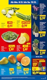 Aufbewahrung Angebot im aktuellen Lidl Prospekt auf Seite 17