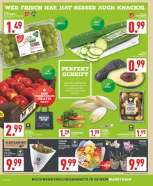 Äpfel im Marktkauf Prospekt "Aktuelle Angebote" mit 20 Seiten (Gelsenkirchen)