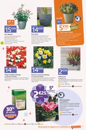 Prix et réduction Cyclamen dans le prospectus Jardiland en cours Offre Cyclamen dans le catalogue Jardiland du moment à la page 5