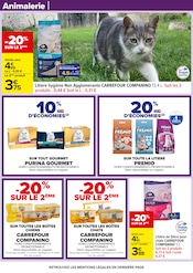 Promos Alimentation Chat dans le catalogue "MAXI FORMAT MINI PRIX" de Carrefour à la page 40