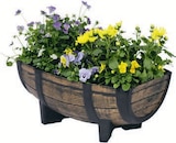 Pflanzkübel Modell Fass von Dobar im aktuellen Lidl Prospekt für 9,99 €