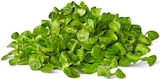 Penny - Deutscher Feldsalat Angebot im Prospekt Deutscher Feldsalat bei Penny im Prospekt "" für 0,99 €