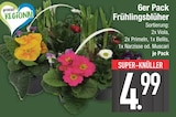 Frühlingsblüher  im aktuellen EDEKA Prospekt für 4,99 €